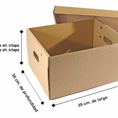 cajas para archivo (4)